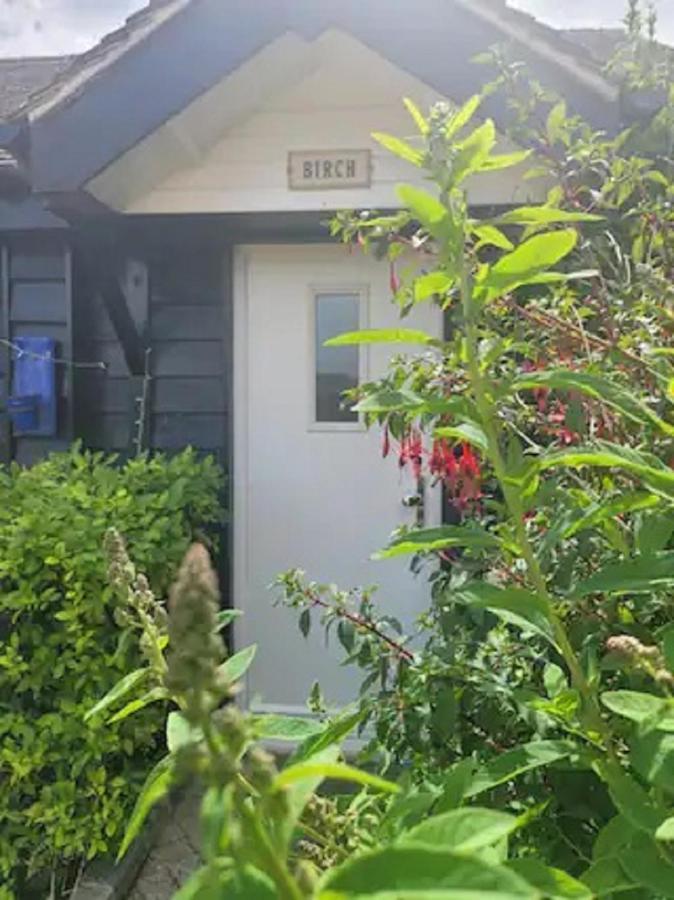 Birch With Private Wood Fire Hot Tub Holiday home