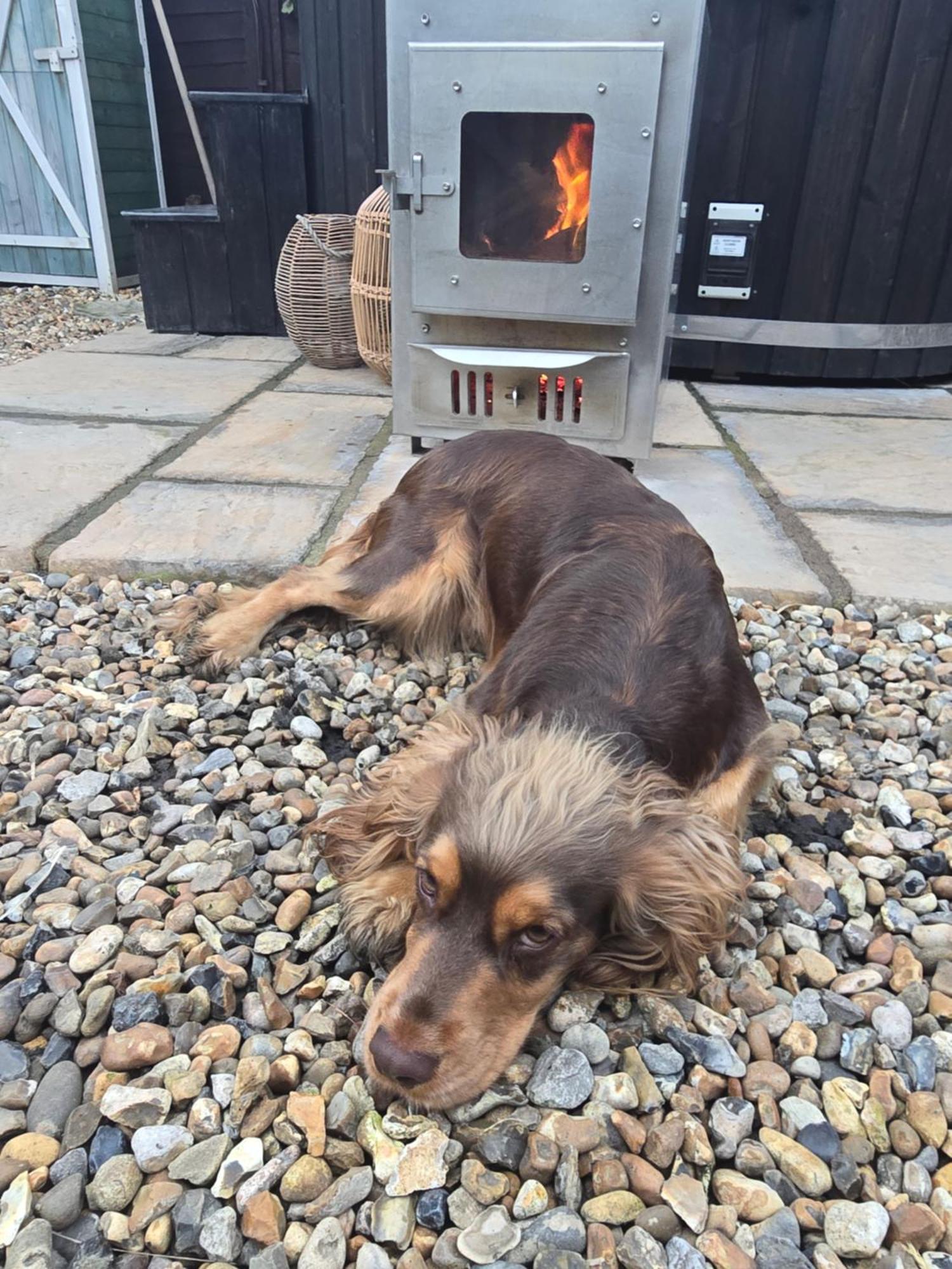 Holiday home Birch With Private Wood Fire Hot Tub Harrietsham